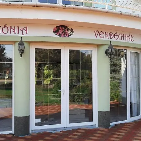 Begonia Vendeghaz *