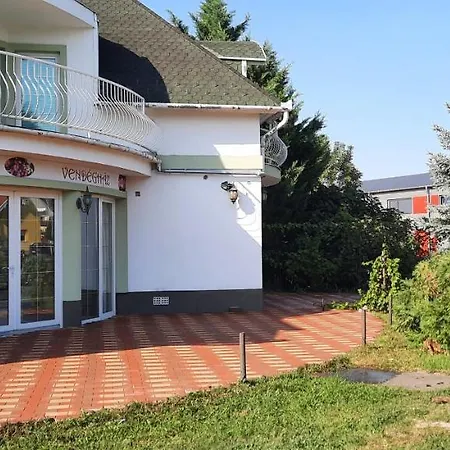 Begonia Vendeghaz Szigetszentmiklós