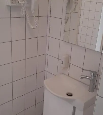 Begonia Vendeghaz Szigetszentmiklós