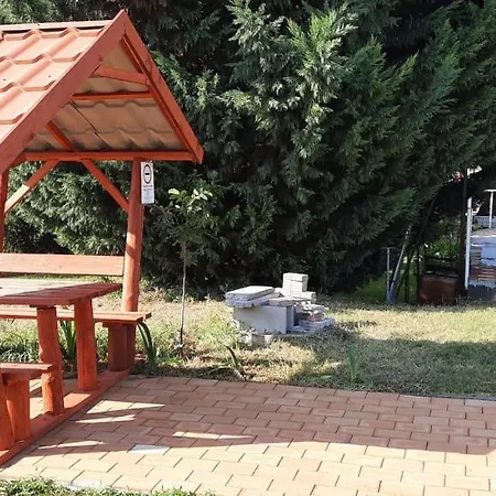 Begonia Vendeghaz Gasthof Szigetszentmiklós