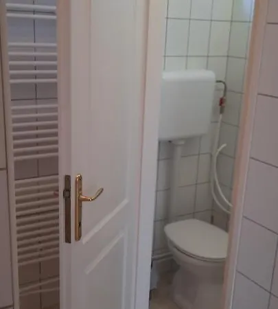 Begonia Vendeghaz * Szigetszentmiklós